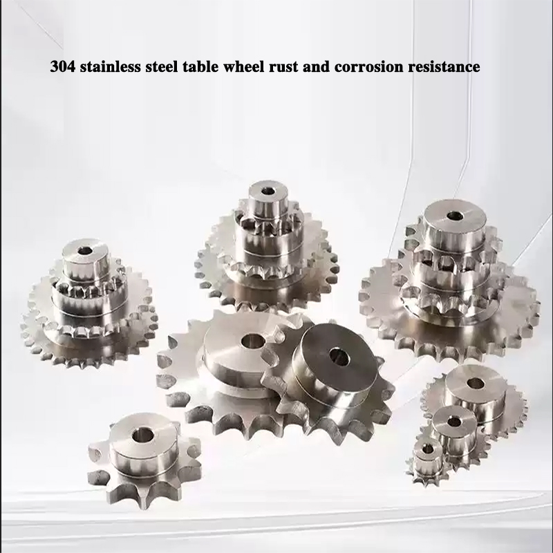 Ansi Chain - Pignone in acciaio inossidabile 304 06B
